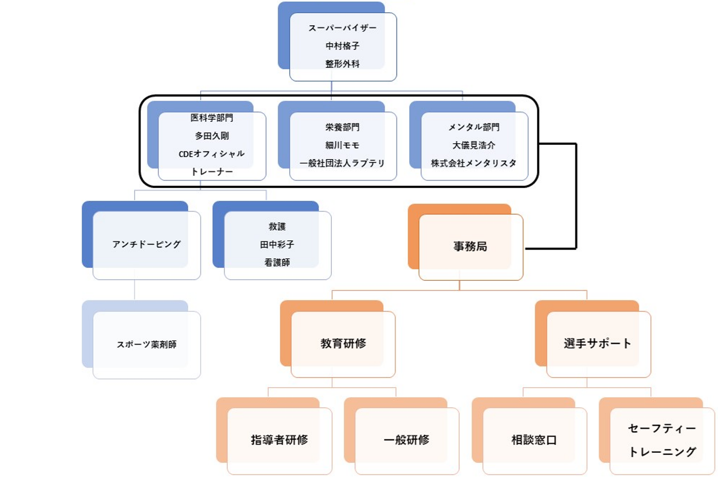 CDEメディカルコミッション 組織図